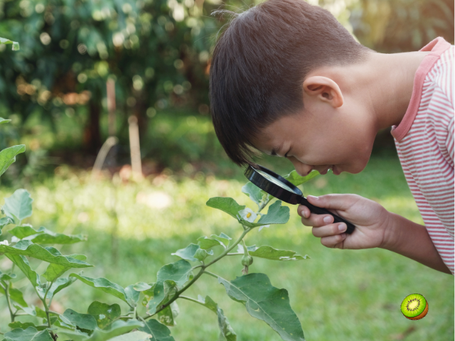 child looking through a magnifying glass